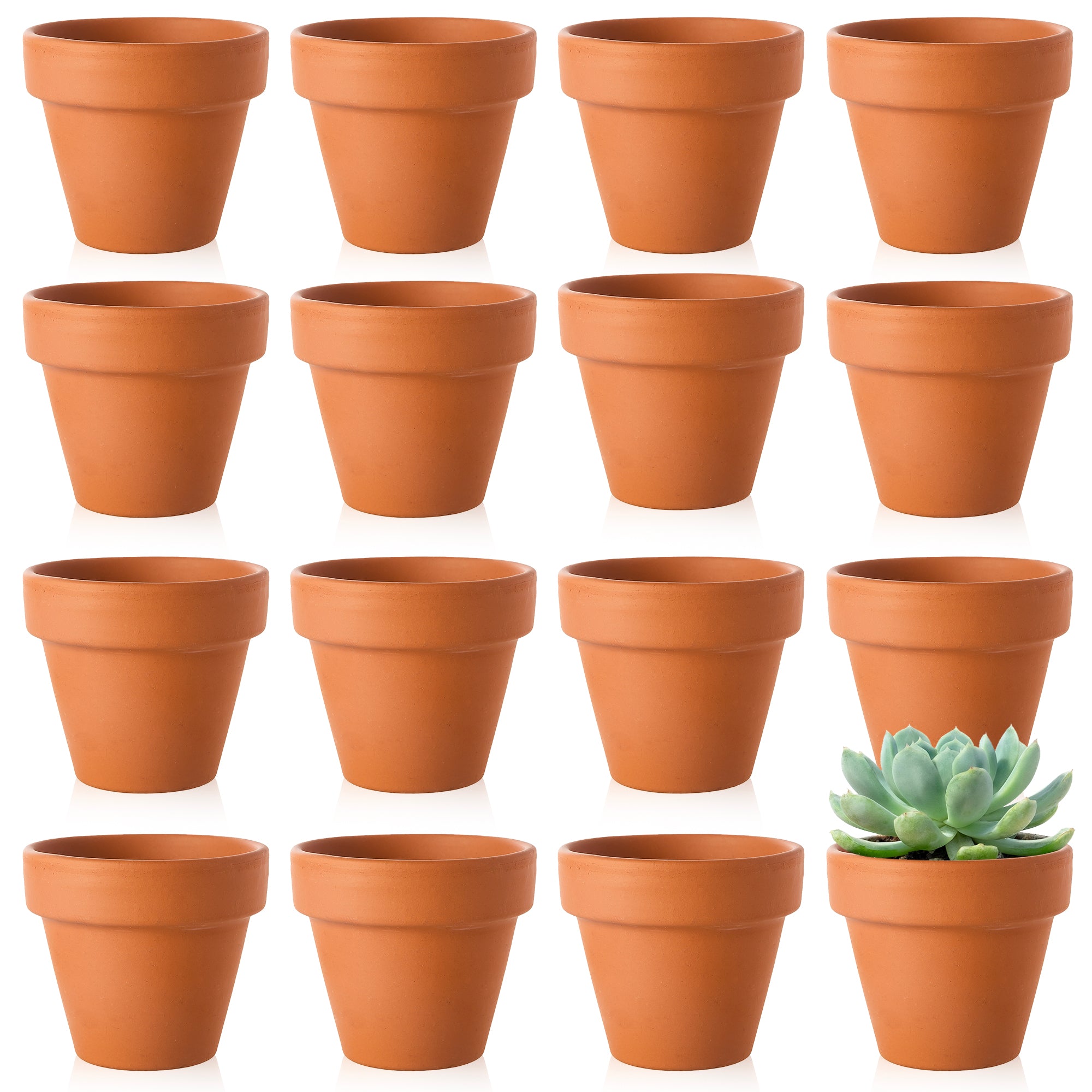 Terracotta discount clay pots