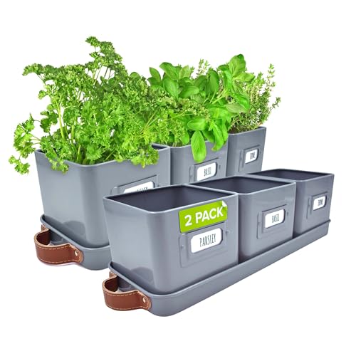 Windowsill Herb Planter