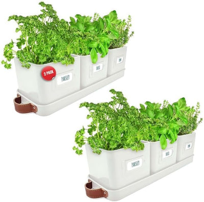 Windowsill Herb Planter