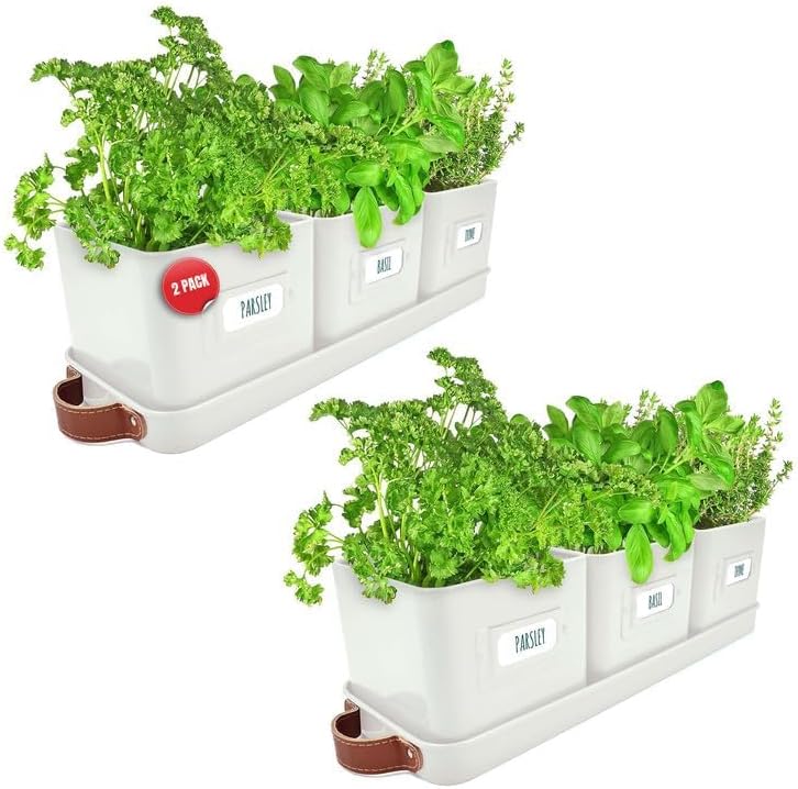 Windowsill Herb Planter