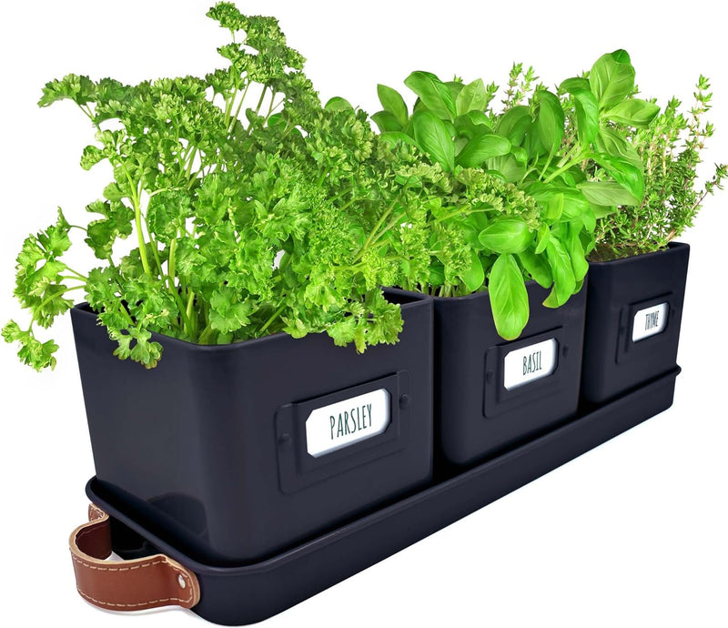 Windowsill Herb Planter
