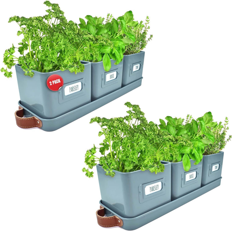 Windowsill Herb Planter
