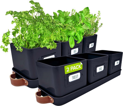 Windowsill Herb Planter