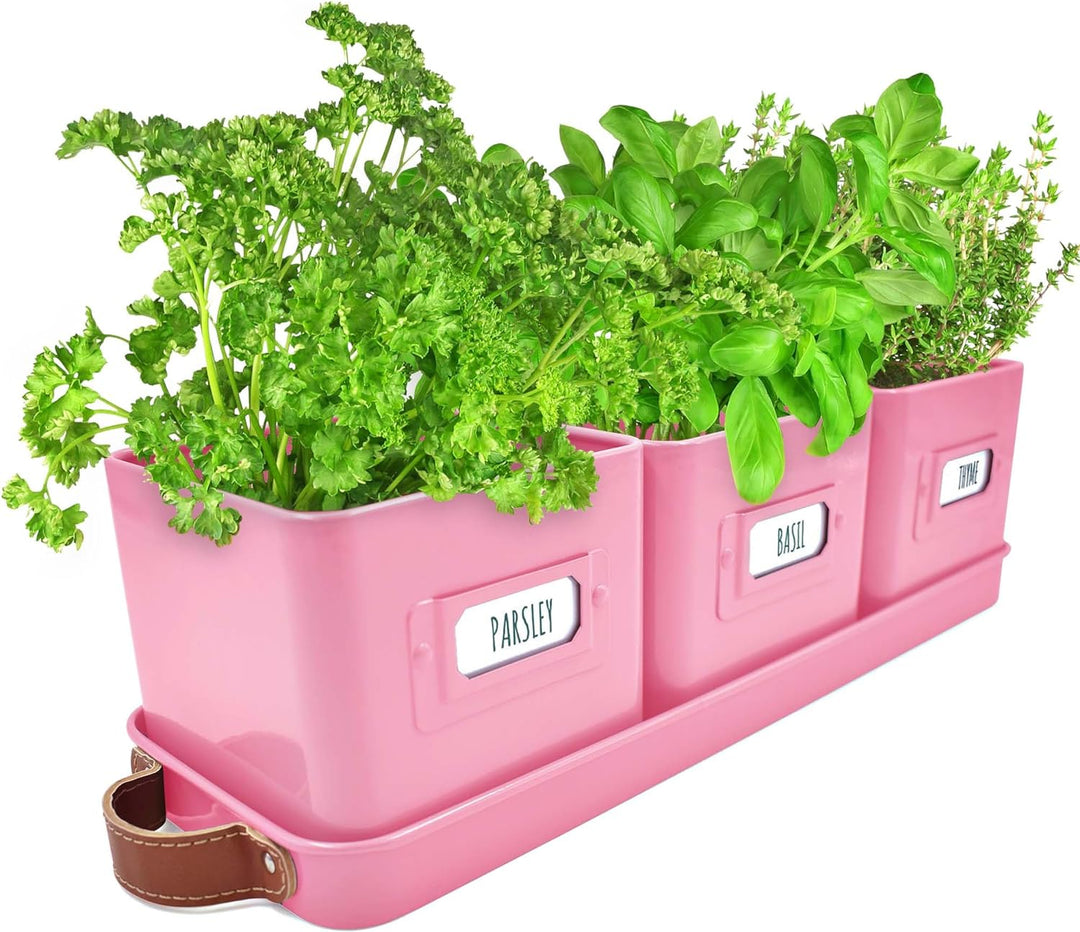 windowsill planter indoor uk Windowsill Herb Planter – Green Thumbz