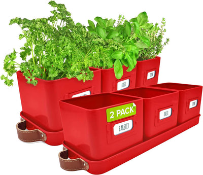 Windowsill Herb Planter