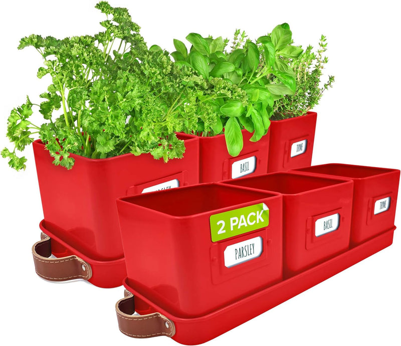 Windowsill Herb Planter
