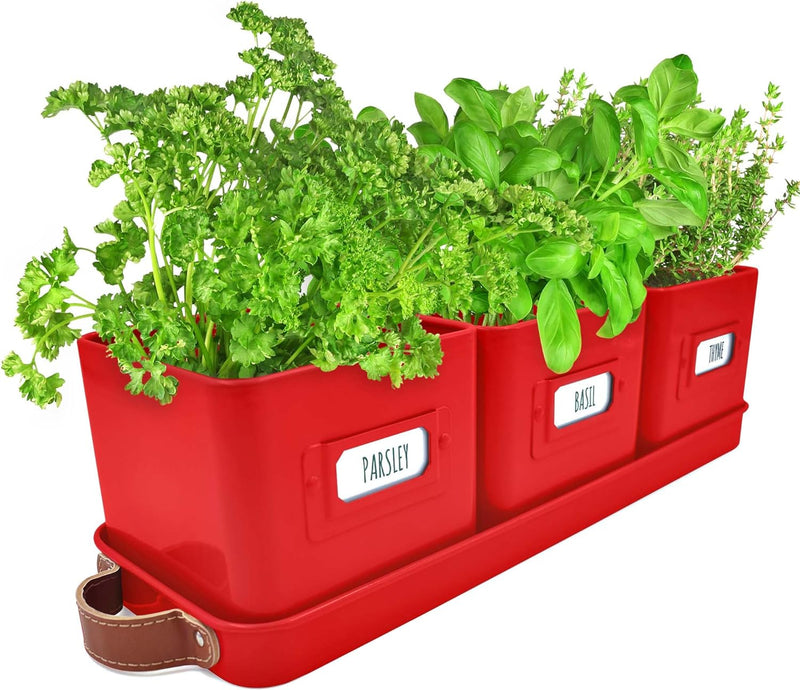 Windowsill Herb Planter