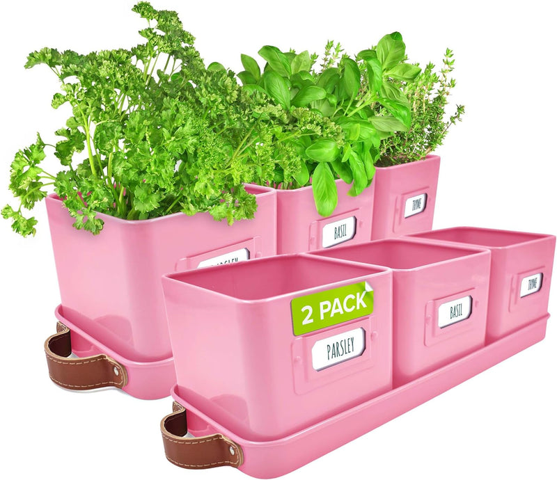 Windowsill Herb Planter