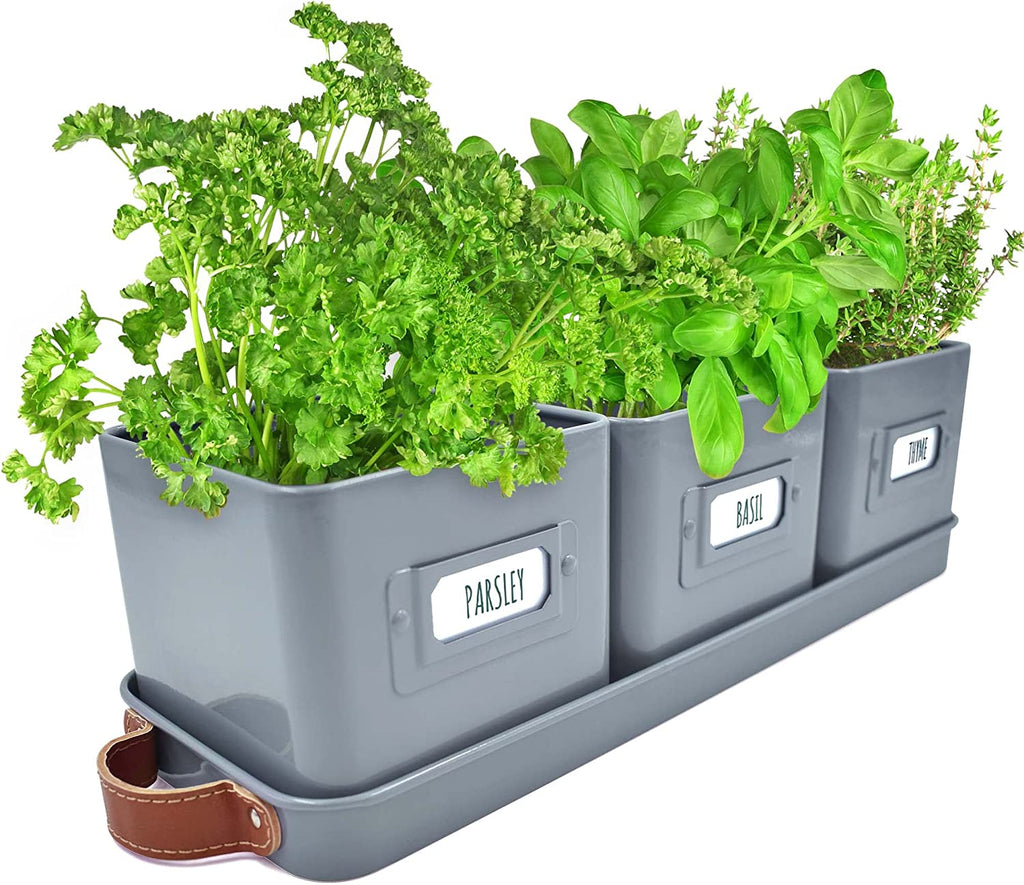 windowsill planter indoor uk Windowsill Herb Planter – Green Thumbz