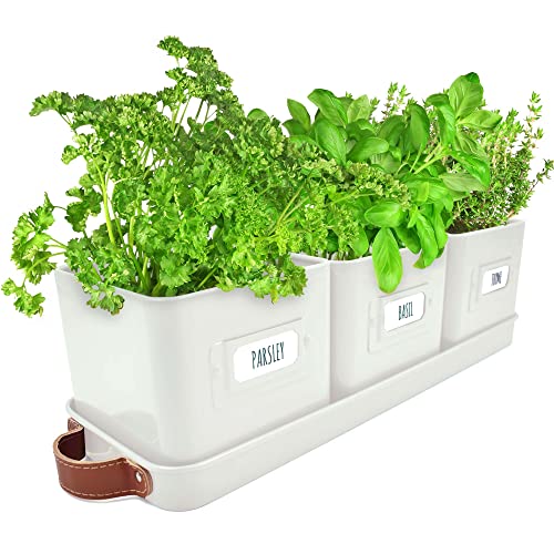 Windowsill Herb Planter