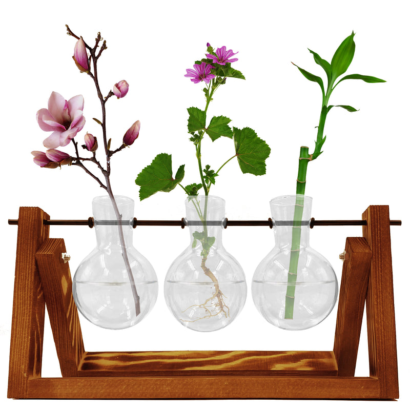 Bulb Vase Glass Planters