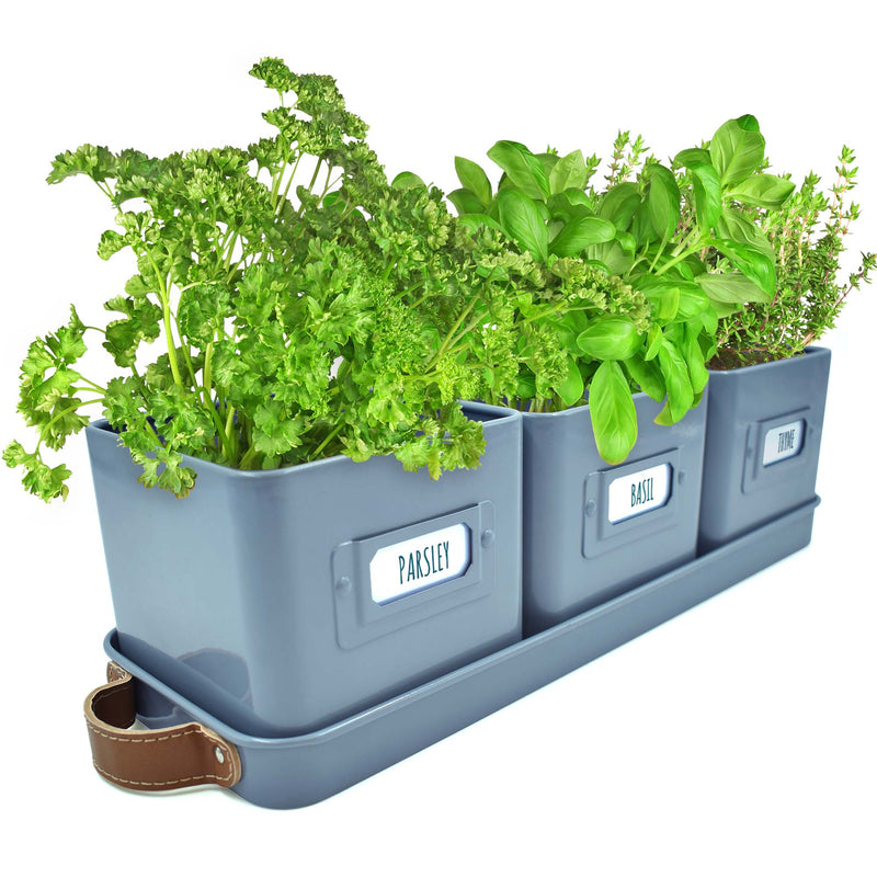 Windowsill Herb Planter