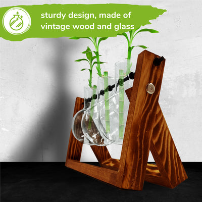 Bulb Vase Glass Planters