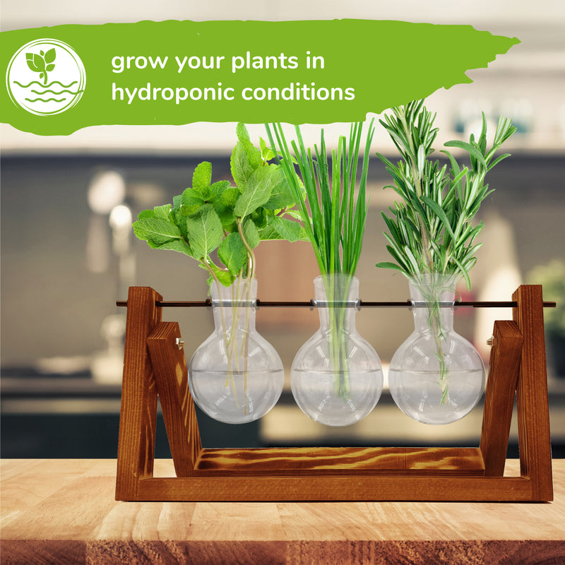 Bulb Vase Glass Planters