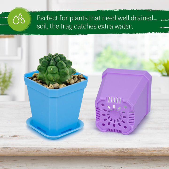 square plastic plant pots uk Small Decorative Square Plant Pots
