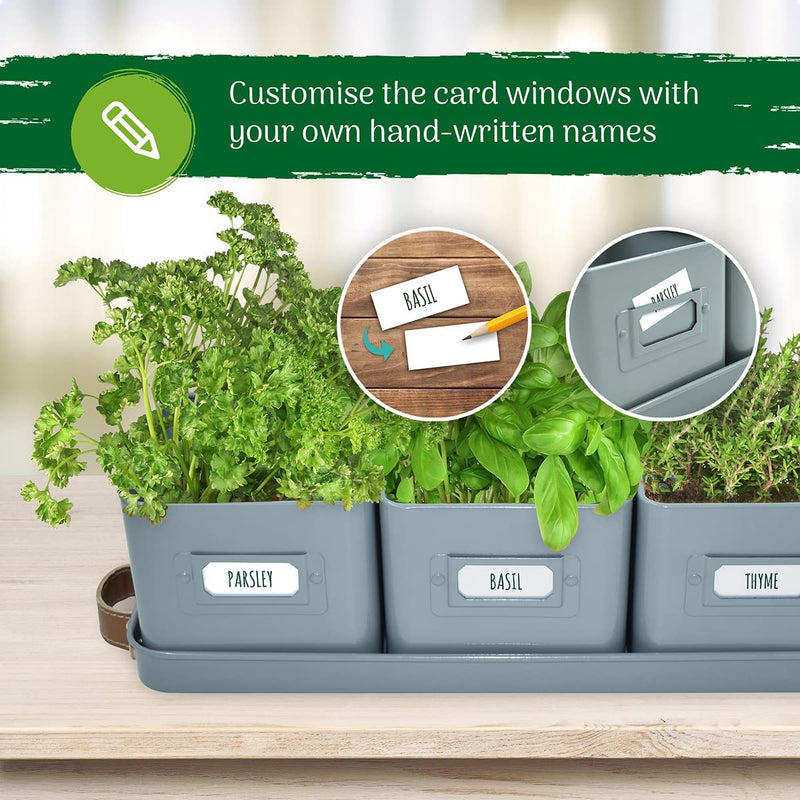 Windowsill Herb Planter