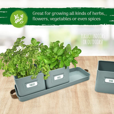 Windowsill Herb Planter
