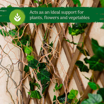 Garden Trellis for Climbing Plant