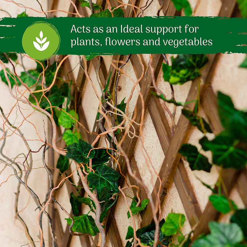 Garden Trellis for Climbing Plant