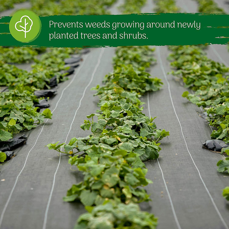 Weed Control Membrane Landscape Fabric