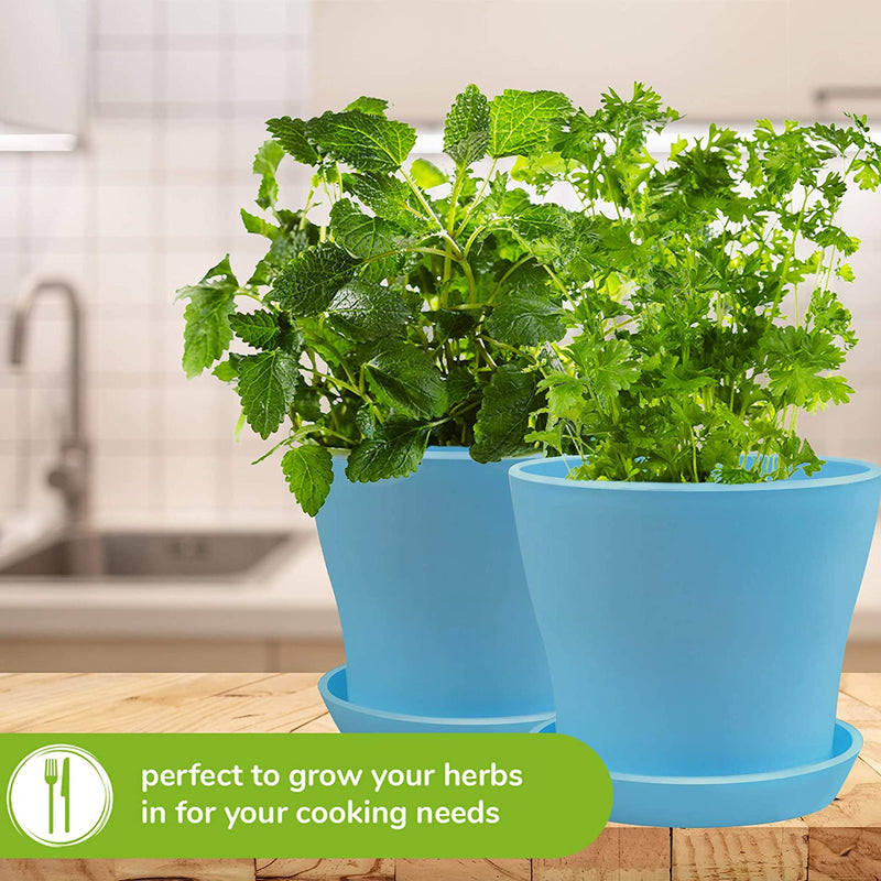 Decorative Round Plant Pots