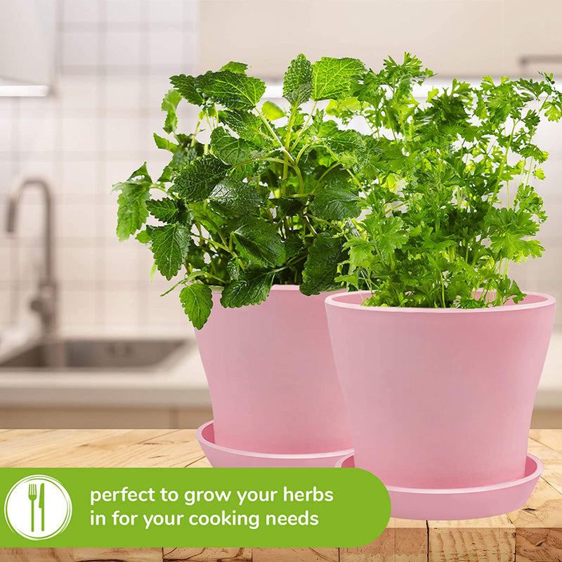 Decorative Round Plant Pots