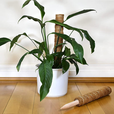 Plant Support Totem Poles