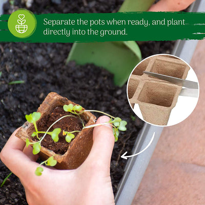 Biodegradable Seedling Starter Trays