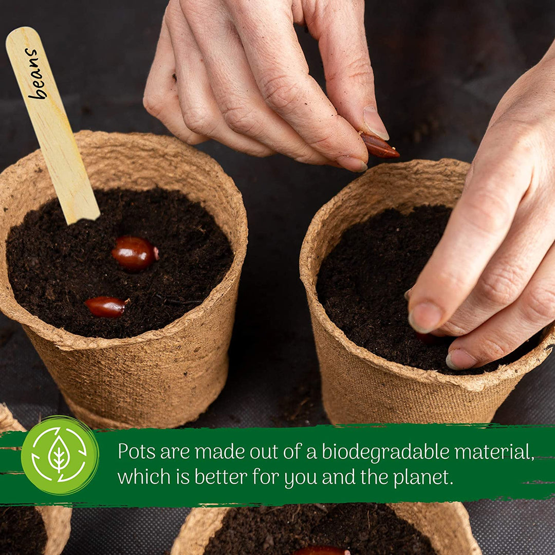 large biodegradable plant pots uk Biodegradable Round Fibre Seedling Pots – Green Thumbz