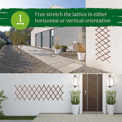 Garden Trellis for Climbing Plant