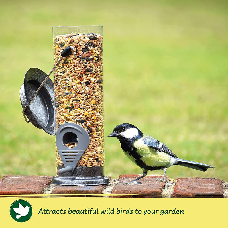 Hanging Bird Seed Feeder for Mixed Seeds