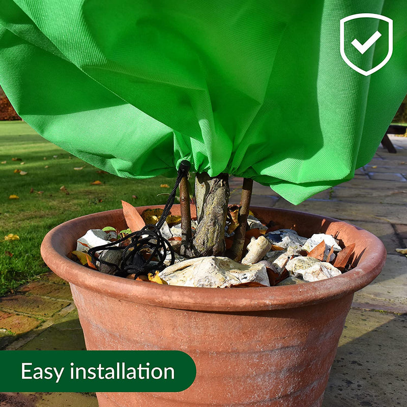 Plant Covers For Winter Frost