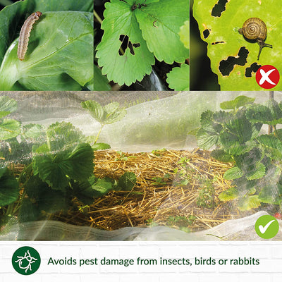 Garden Fleece Plant Protection 30gsm Rolls