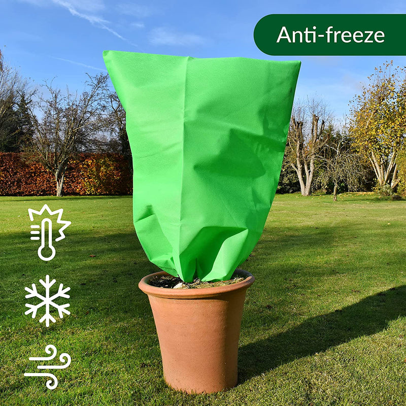 Plant Covers For Winter Frost